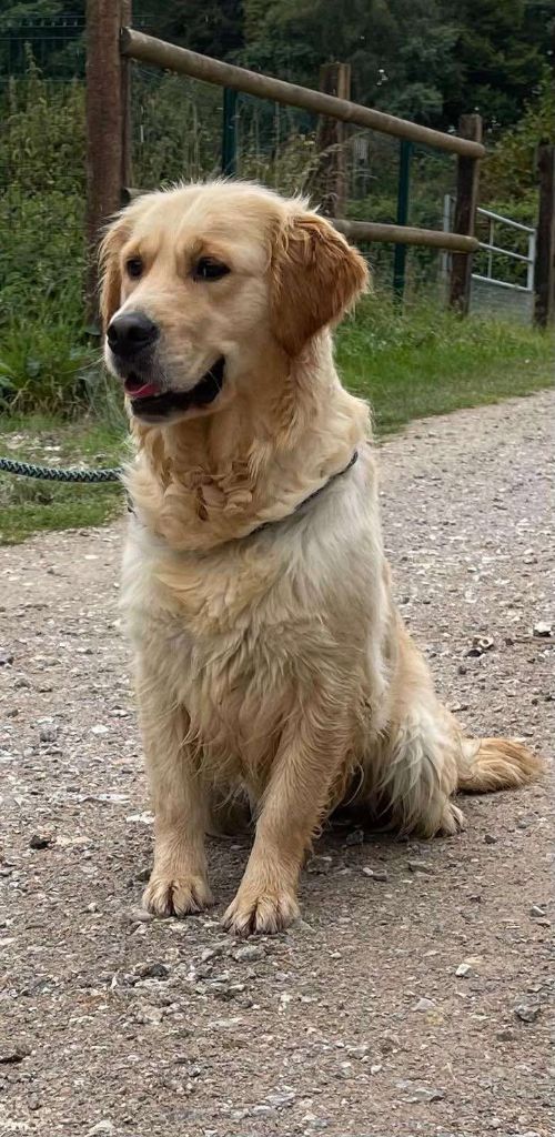 Seven up de la Vallée de Saint Samson